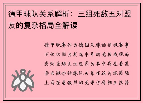 德甲球队关系解析：三组死敌五对盟友的复杂格局全解读